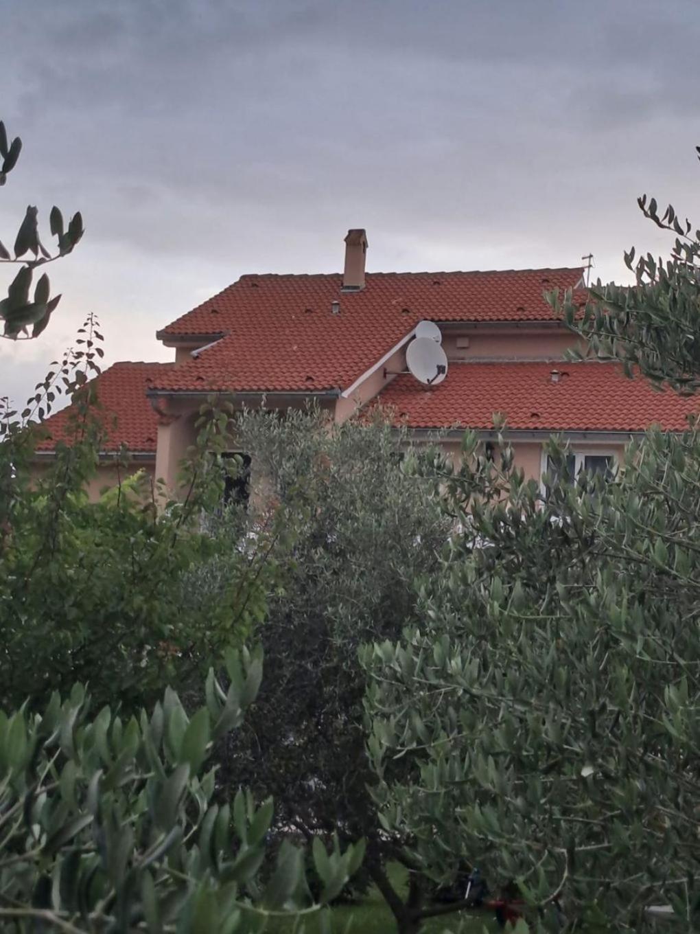 סופטרסקה דראגה Apartments Mig - With Beautiful Garden מראה חיצוני תמונה